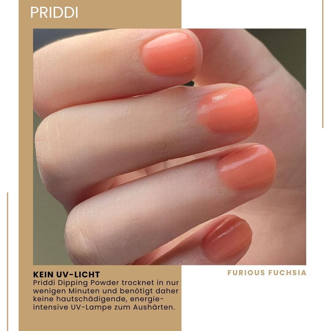 Priddi Carina Kit ( 5x Dip Powder ) - Priddi